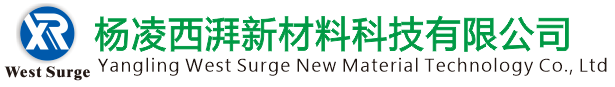 我的网站